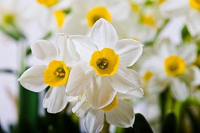 《战锤40K：星际战士2》Avarax宣传片 9月9日发售